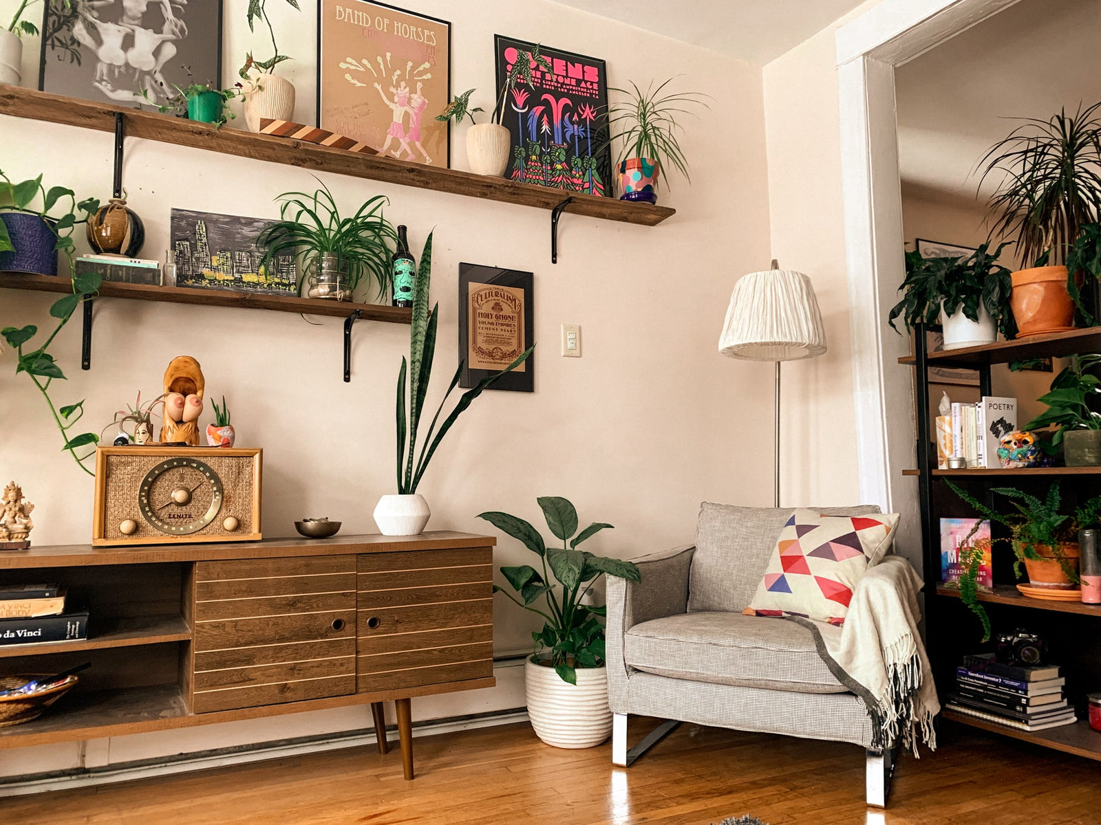 5 houseplants for mid century interiors
