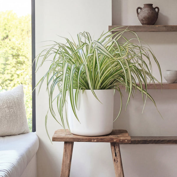 White Elho Matt Pot (22cm)