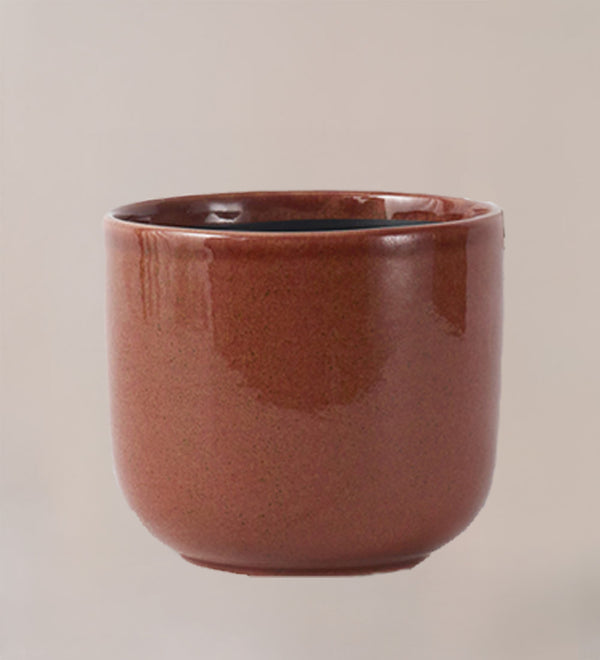 Nine Gloss Caramel 22cm