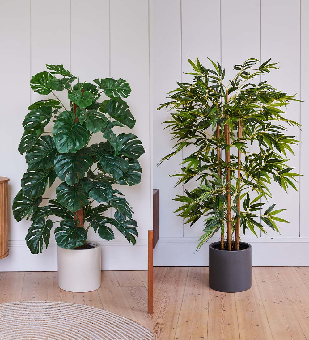 Artificial Bestseller Pair | Realistic Indoor Faux Plants