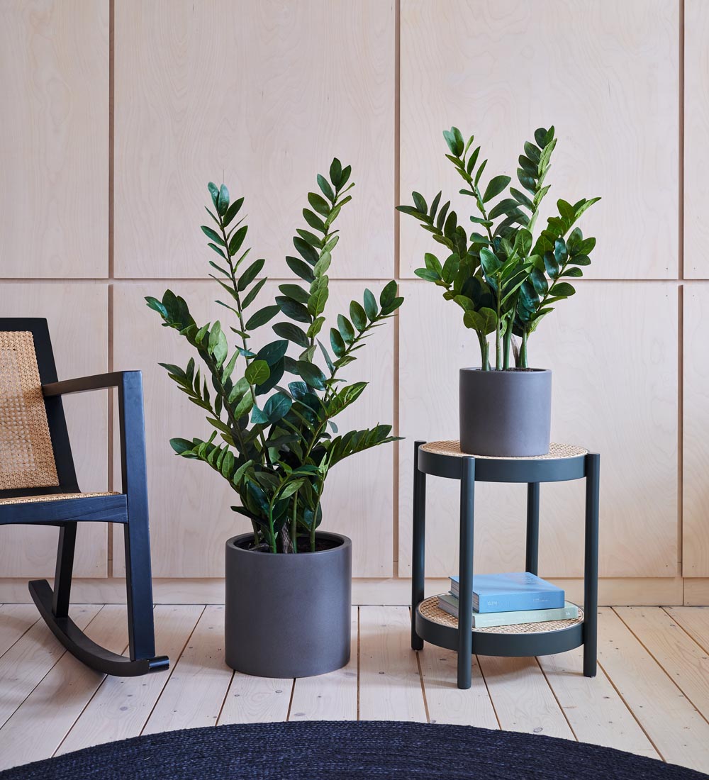 faux zz plant small Artificial ZZ Plant