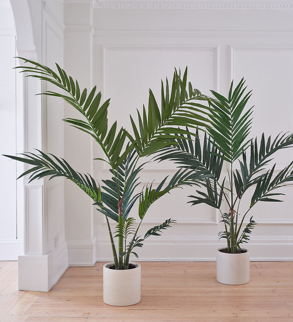artificial palm plants uk Artificial Kentia Palm