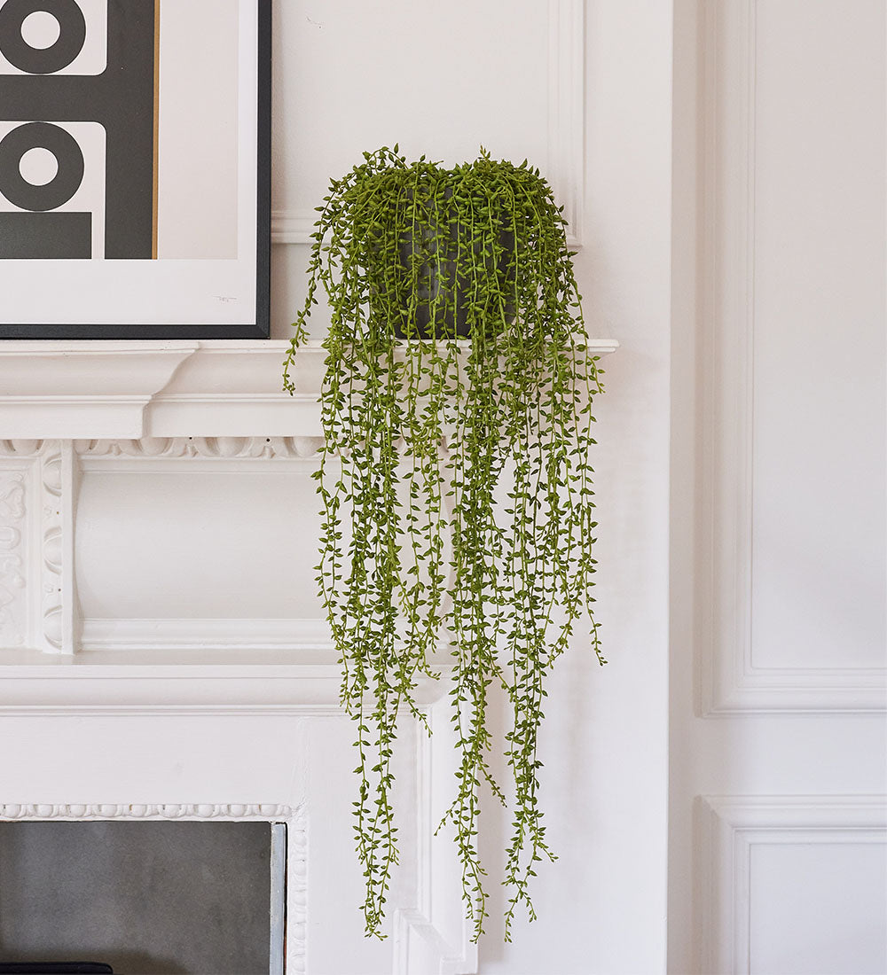 hanging pearl plant Artificial String of Pearls Hanging