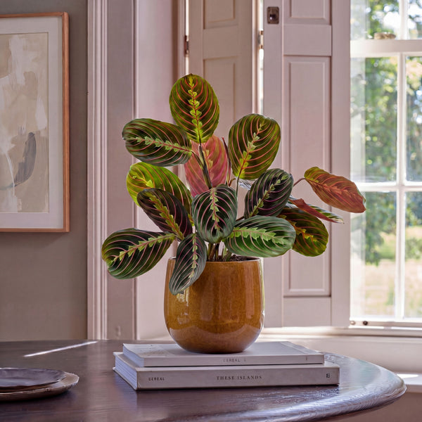 Ochre Plant Pot 14cm