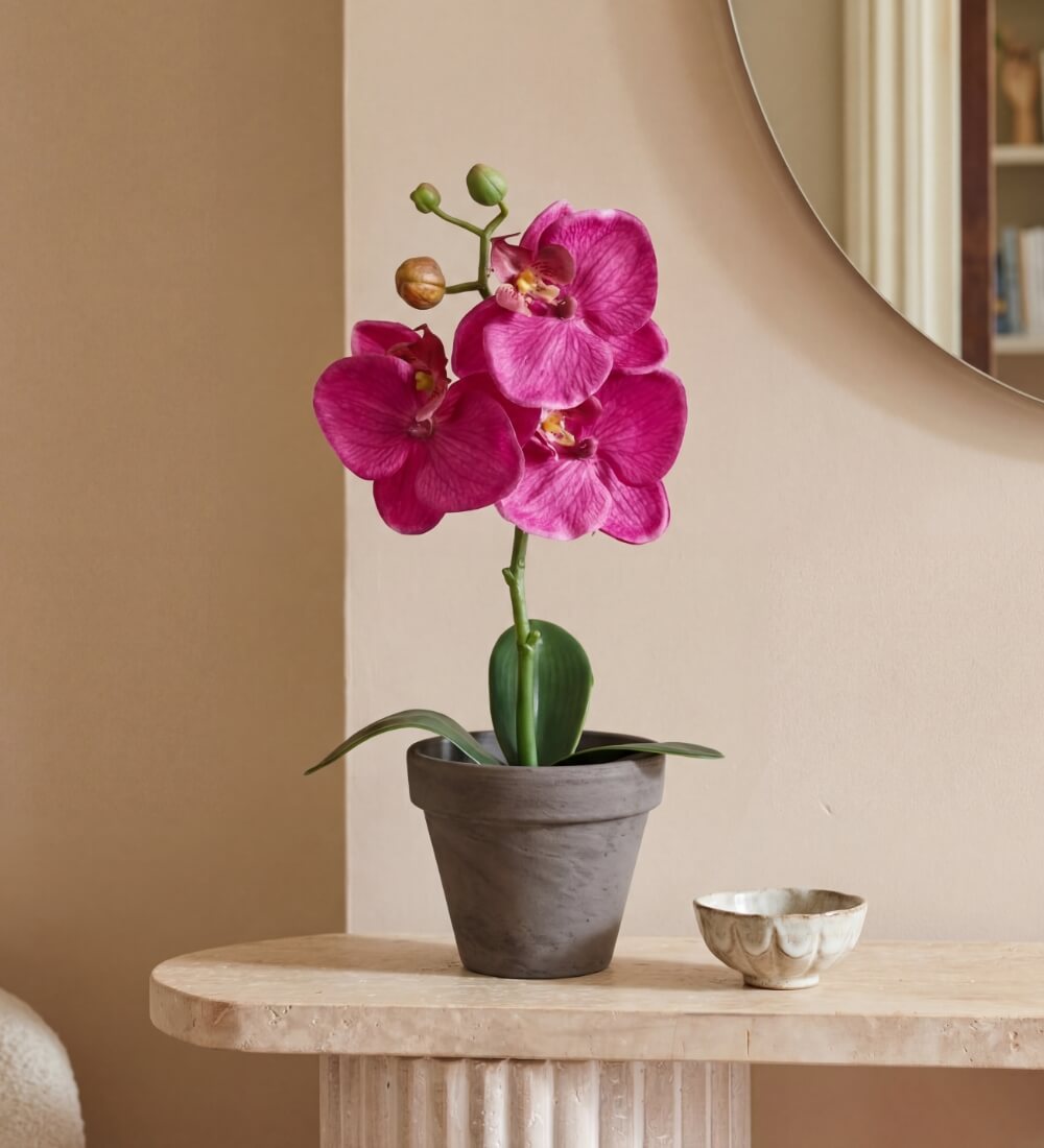 MAJESTA EXTRA ROSE GOLD クリーム 25g Artificial Magenta Orchid & Pot