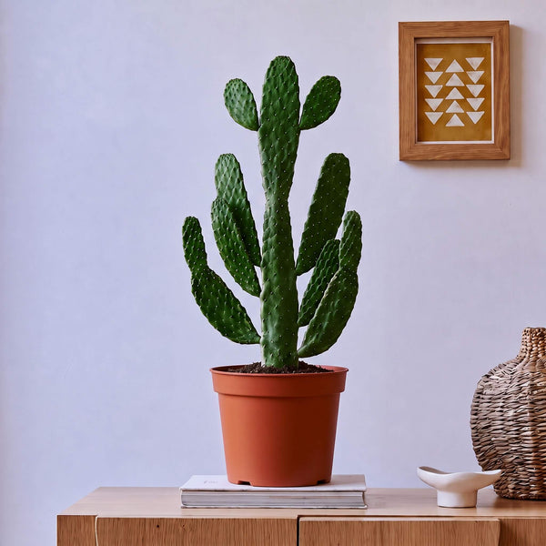 Grower's Pot