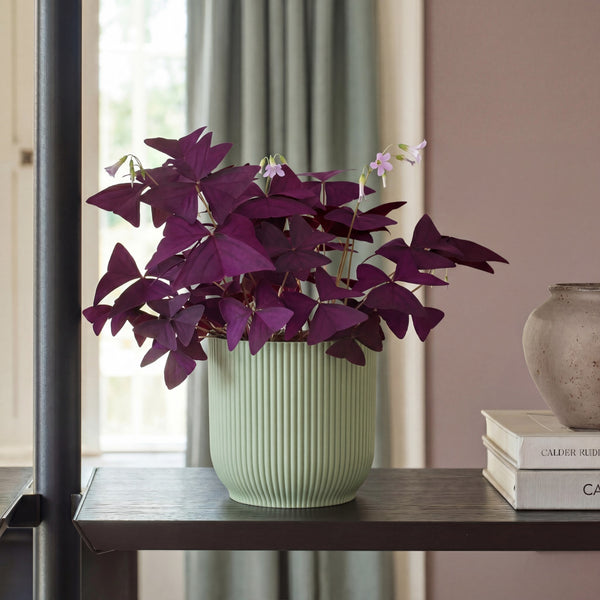 Mint Elho Vibes Pot (14cm)