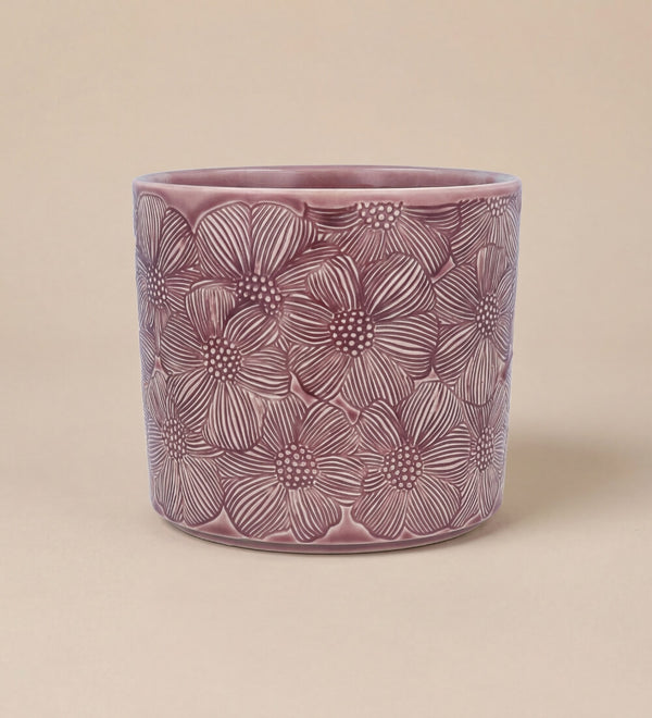 Pink Cosmos Pot 14cm