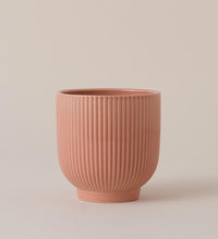 Pink Ribbed Ceramic Pot (13cm) Image