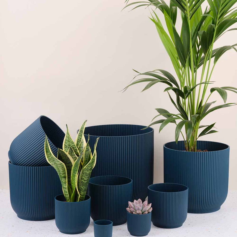 Teal Elho Vibes Pot