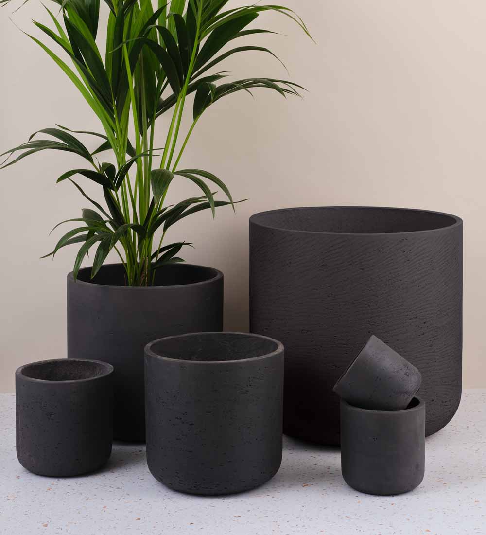 gray plant pot Dark Grey Concrete Pot