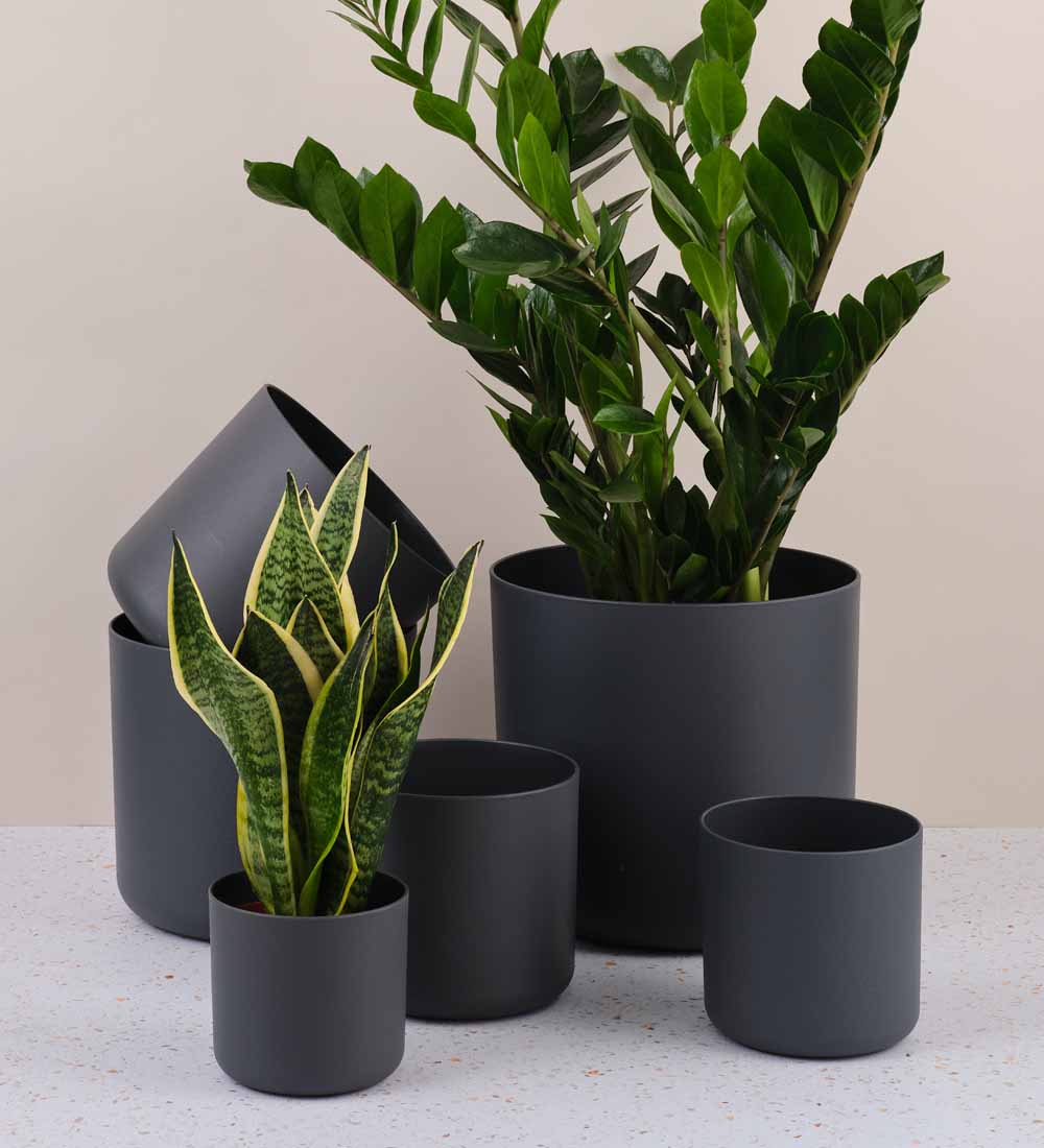 small black indoor plant pot Dark Grey Matt Pot
