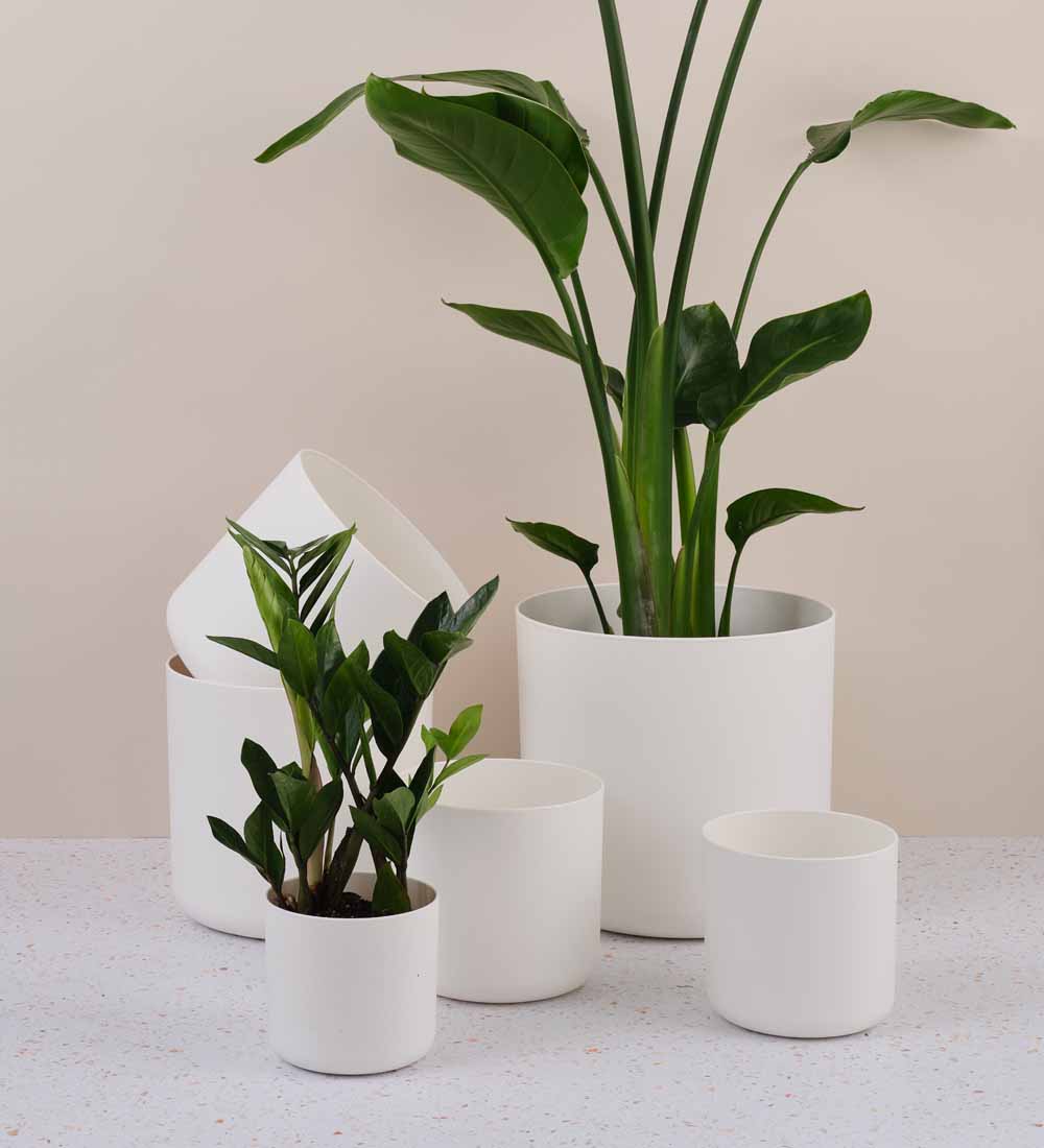 white planting pots White Matt Pot