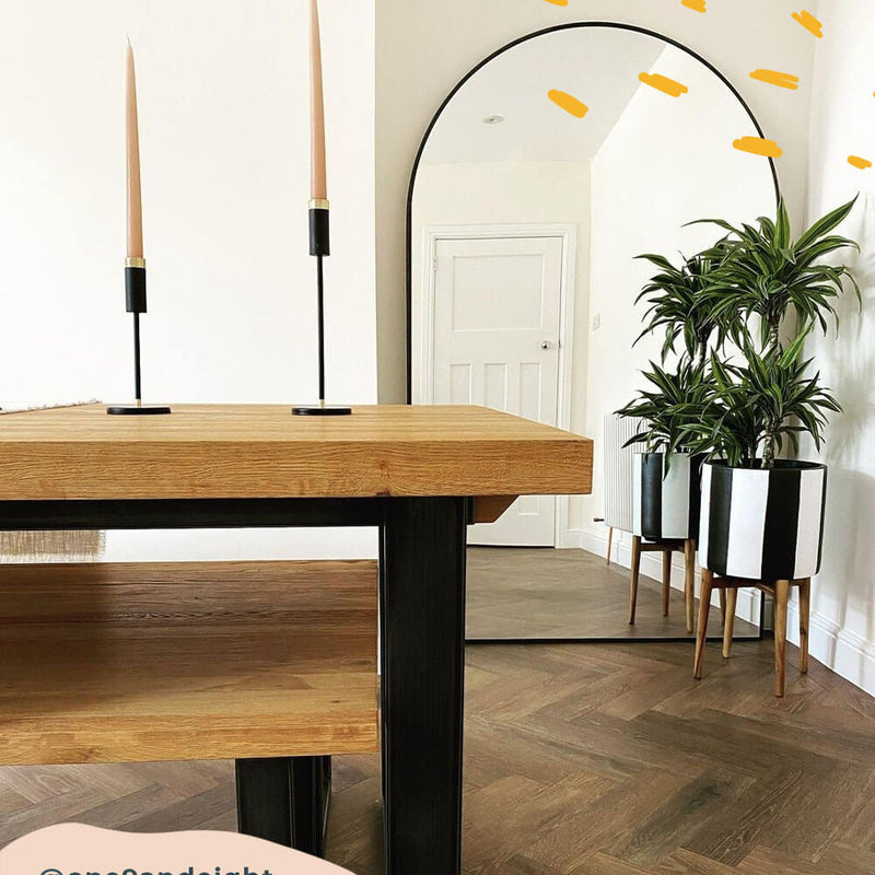 Large Dracaena Fragrans Warneckei