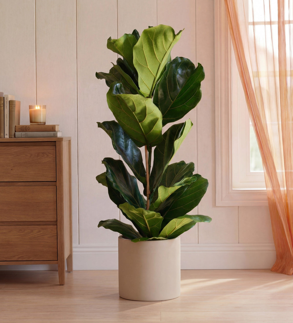 Why Office Plants Are Essential in 2025