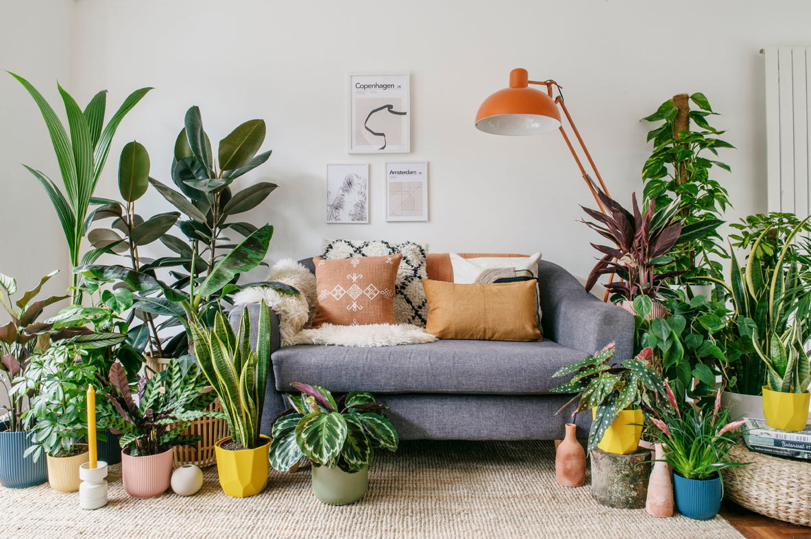 The plants set to be big in 2021
