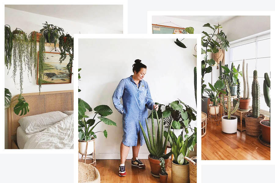 My Life In Plants: Kate Chilver
