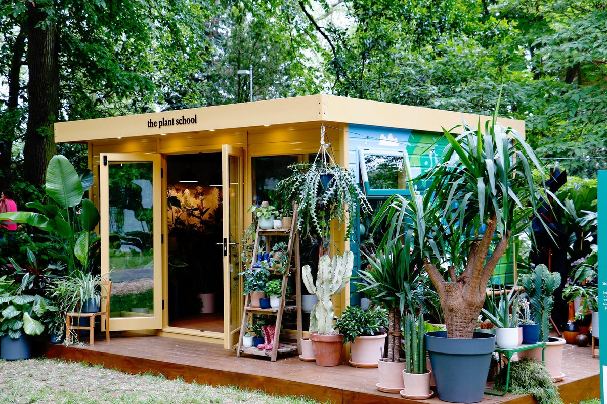 Beards & Daisies at RHS Chelsea Flower Show: Our Story So Far