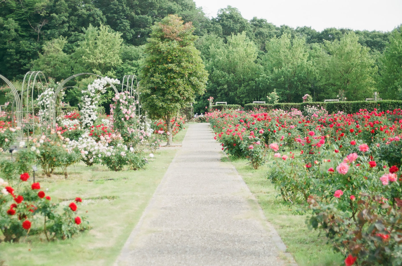 5 gardens to visit in the UK
