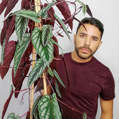 My life in plants: Rafael Viegas Ramos