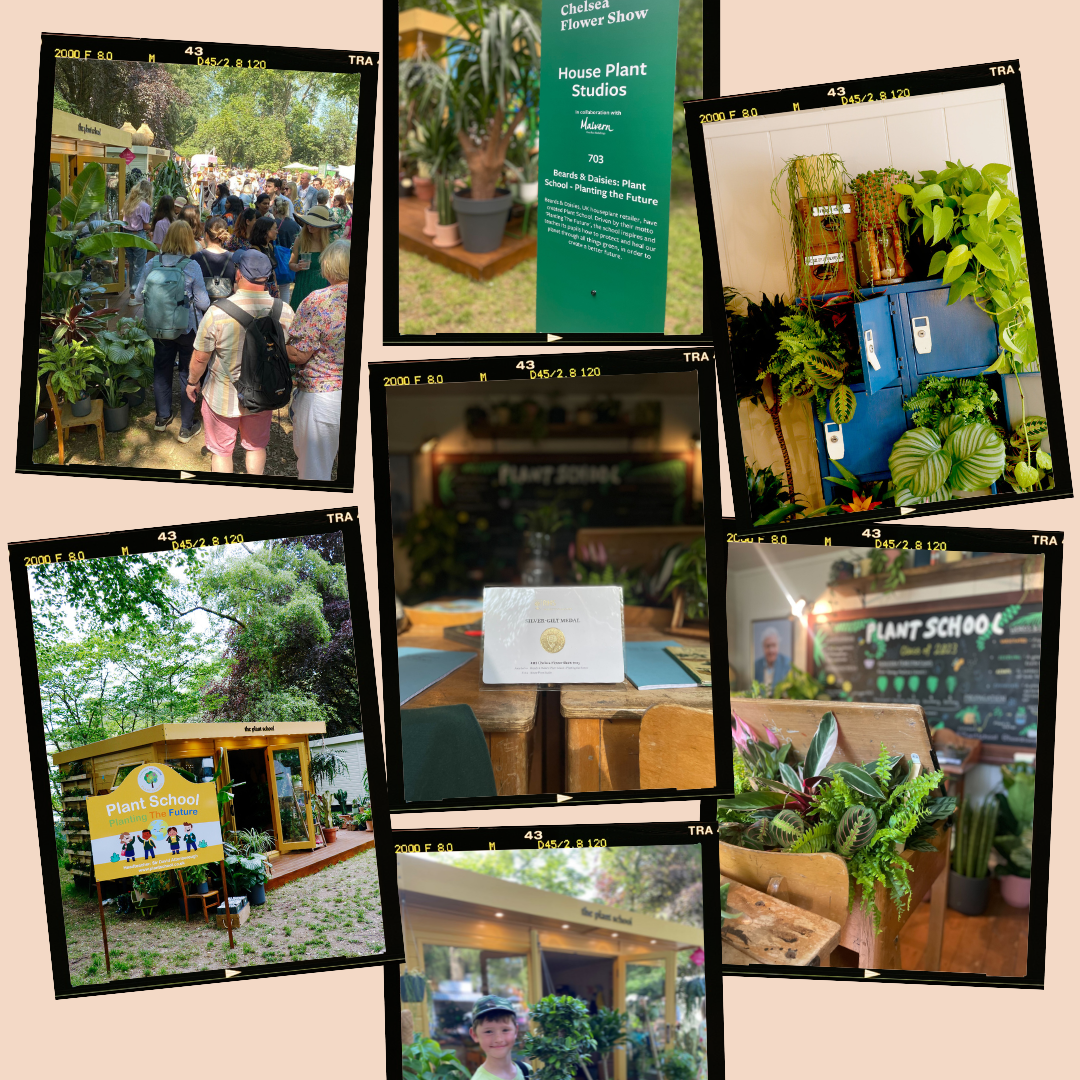 The Chelsea Flower Show Diaries - Part Three