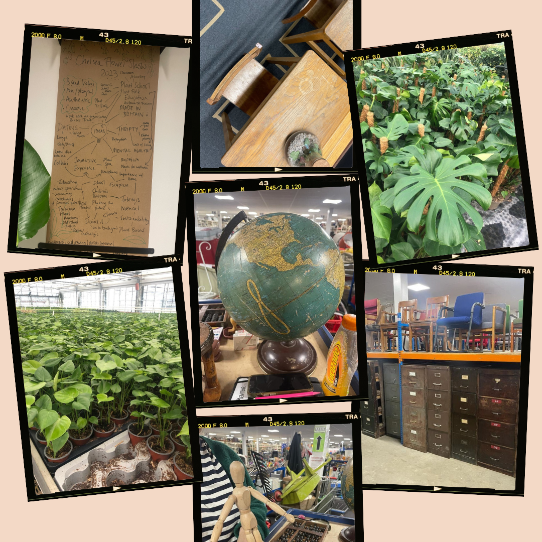 The Chelsea Flower Diaries - Part One