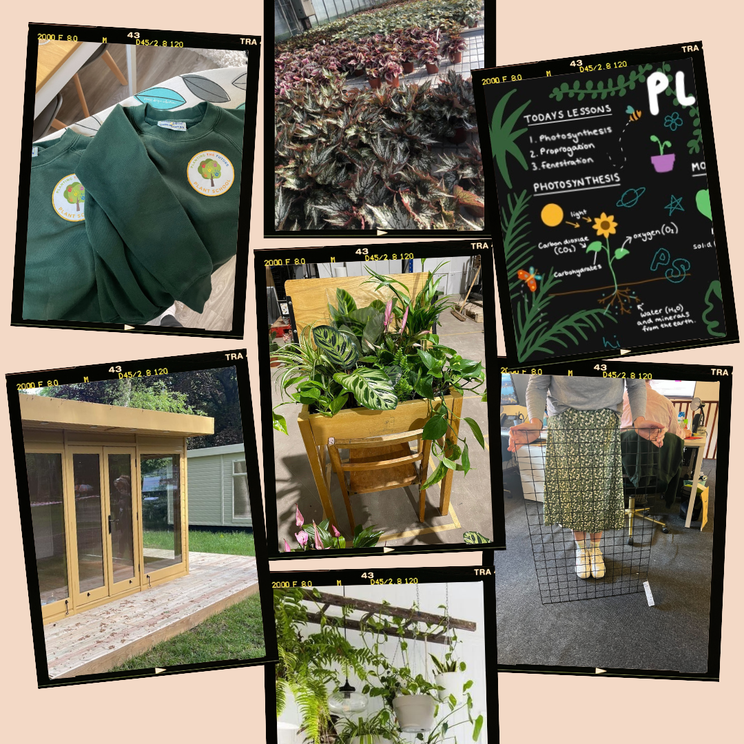 The Chelsea Flower Show Diaries - Part Two