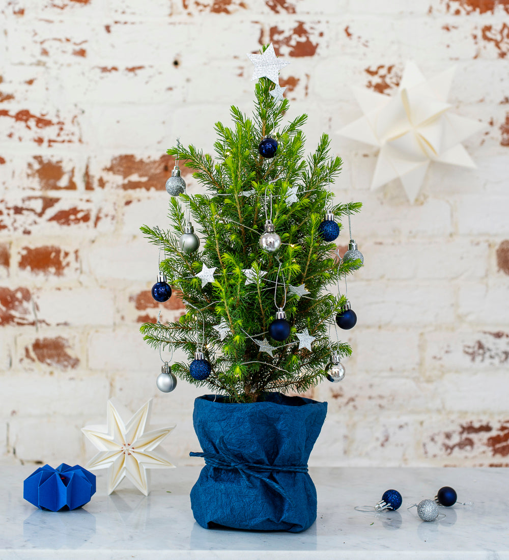 Our Christmas Range Is Live!