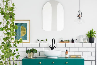 The Best Plants For Your Bathroom