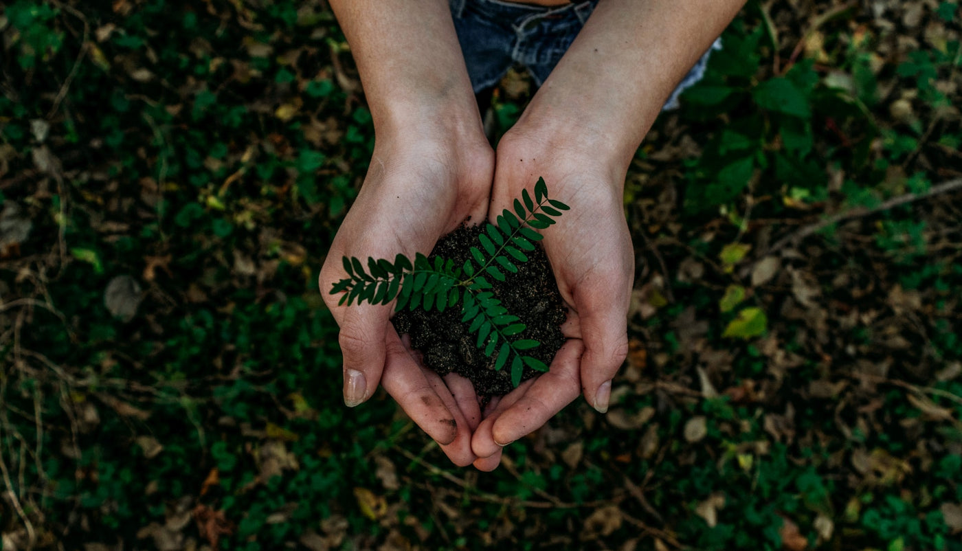5 ways to be kind to the Earth