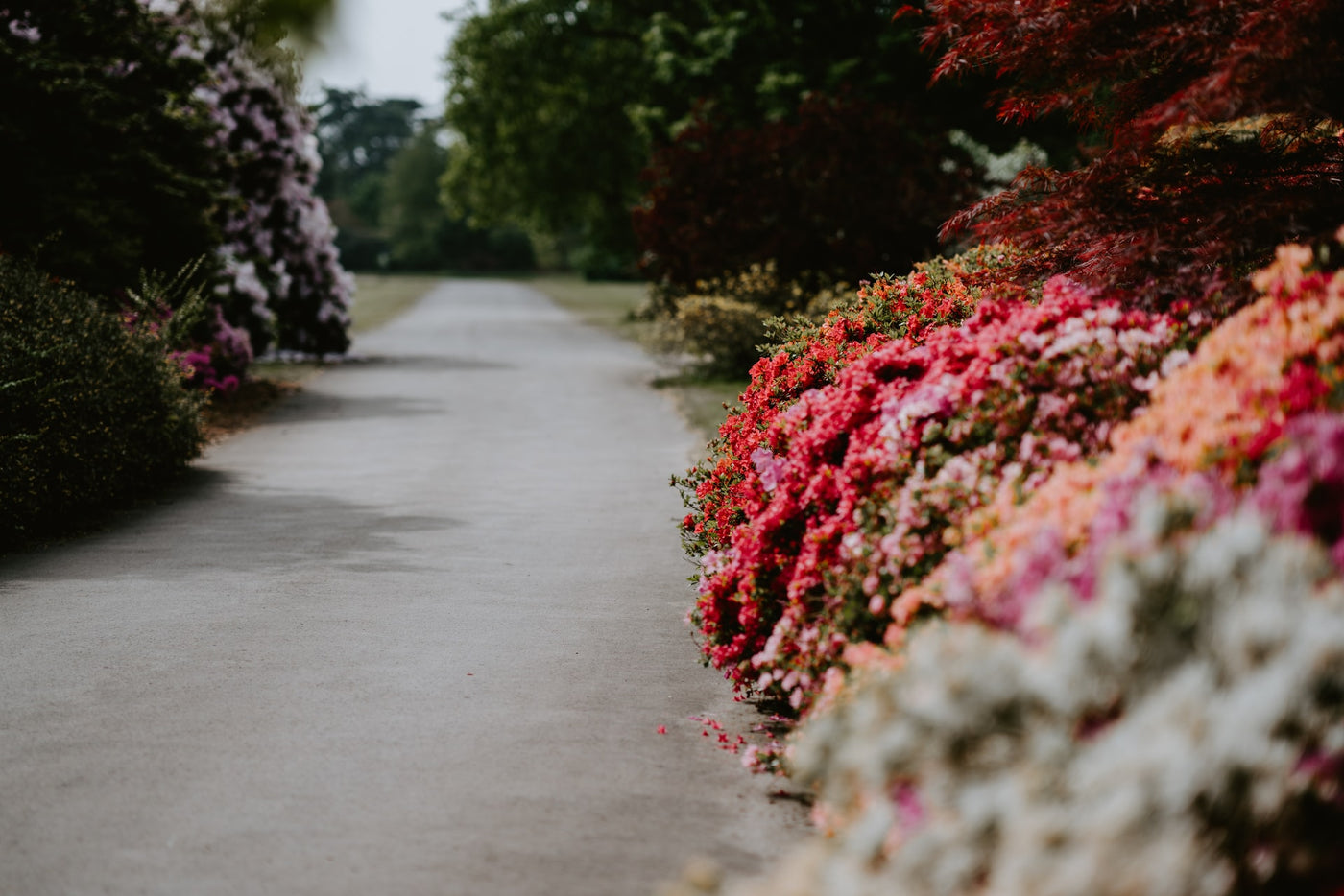 How to create a garden border