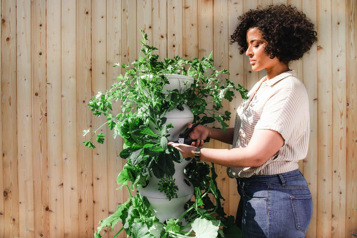gardening terminology: explained