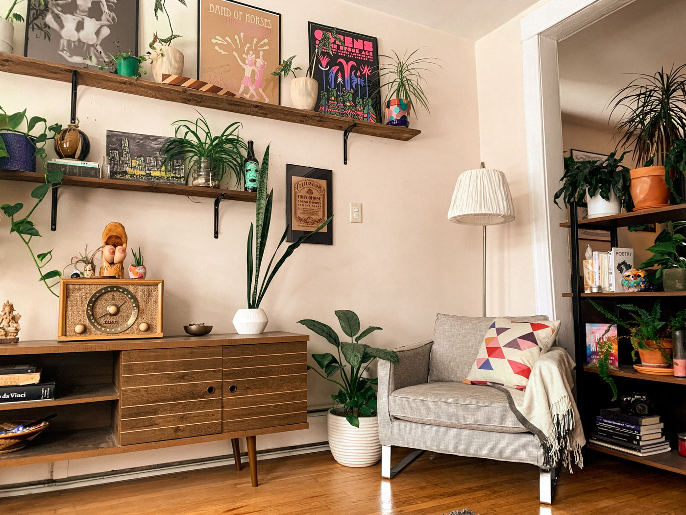 5 houseplants for mid century interiors