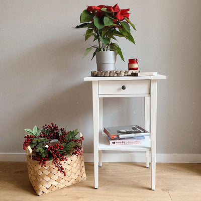 How to look after your plants when you're heading home for the holidays