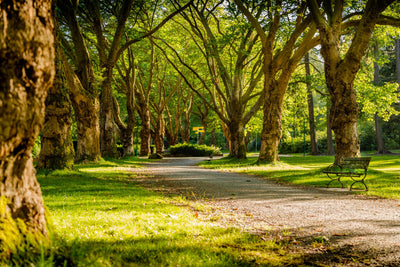 How you can protect green spaces in your community