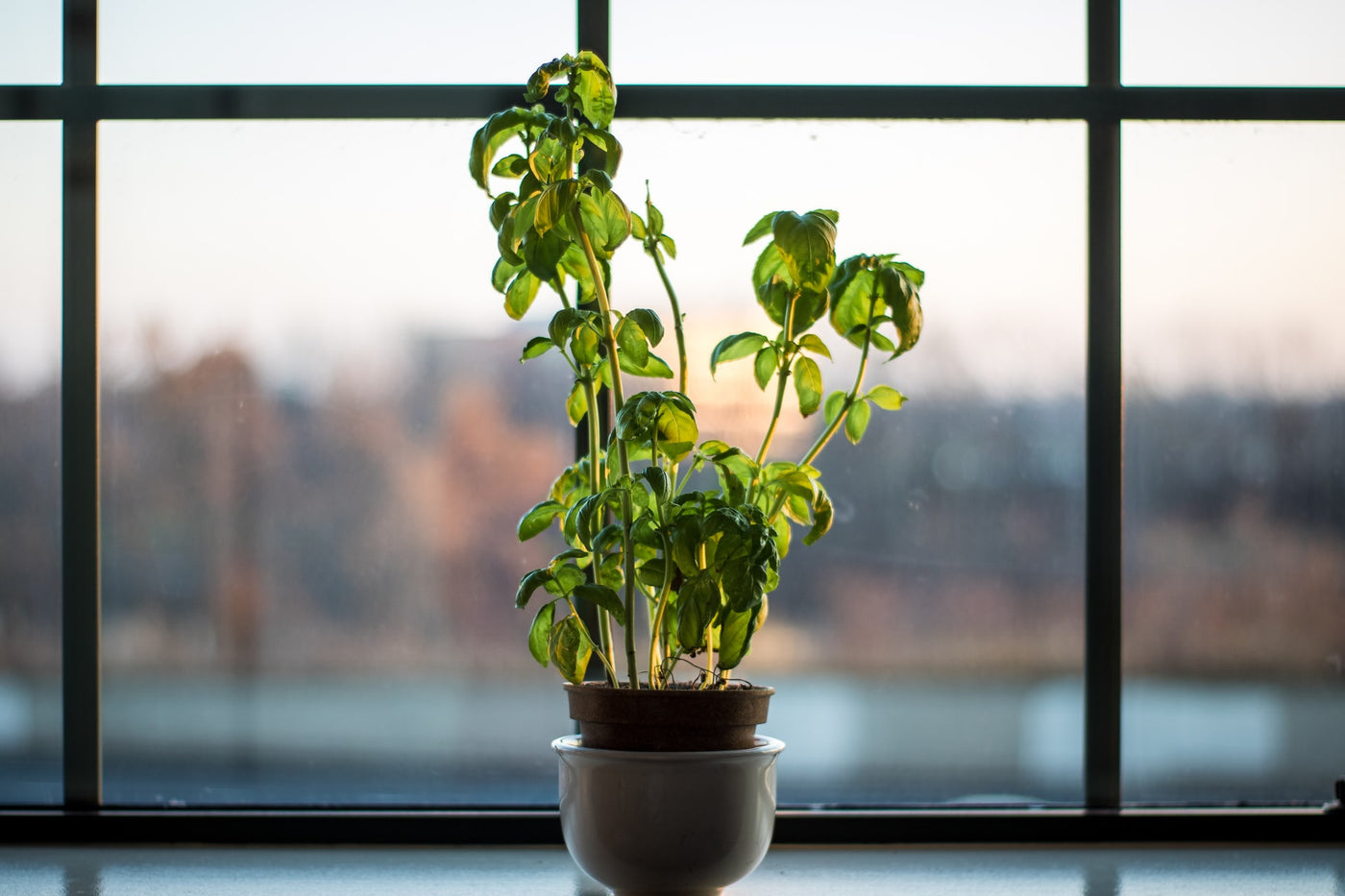 6 Pot Upgrades To Treat Your Plants To