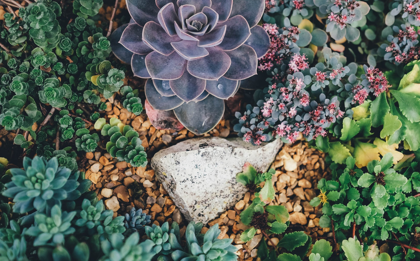 how to style: the gravel and rock garden