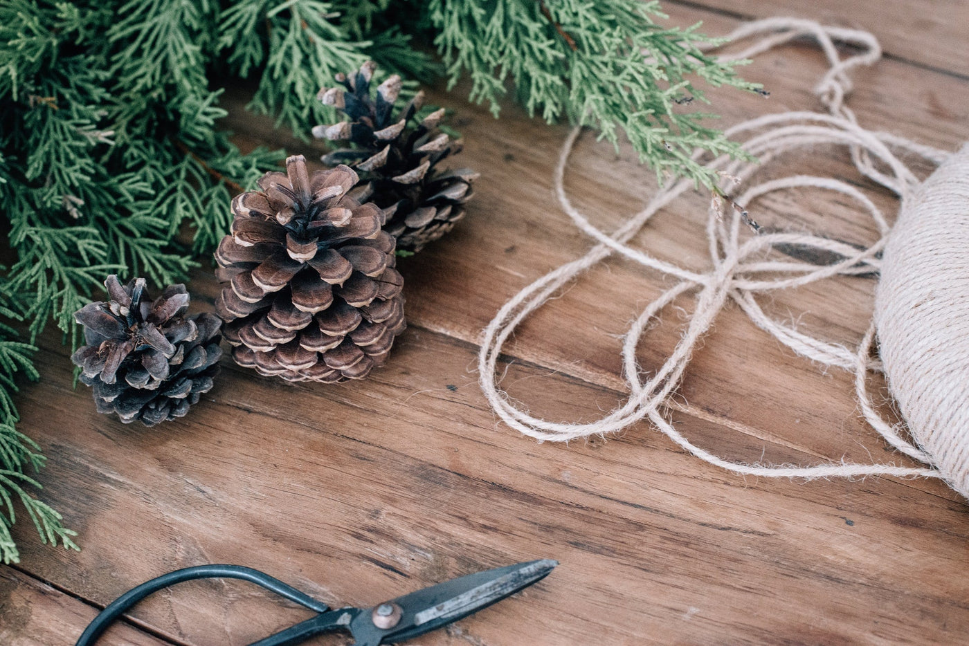 Go Green This Christmas With Haws