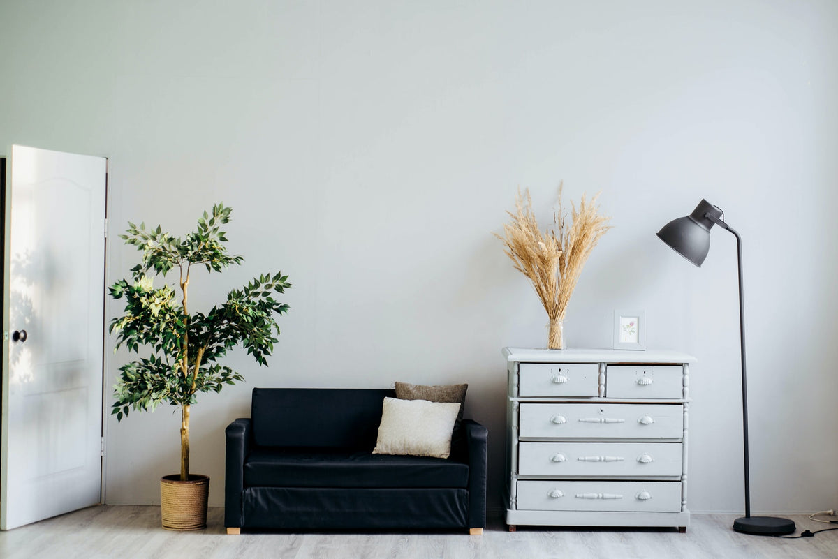 5 ways to spring clean your plants