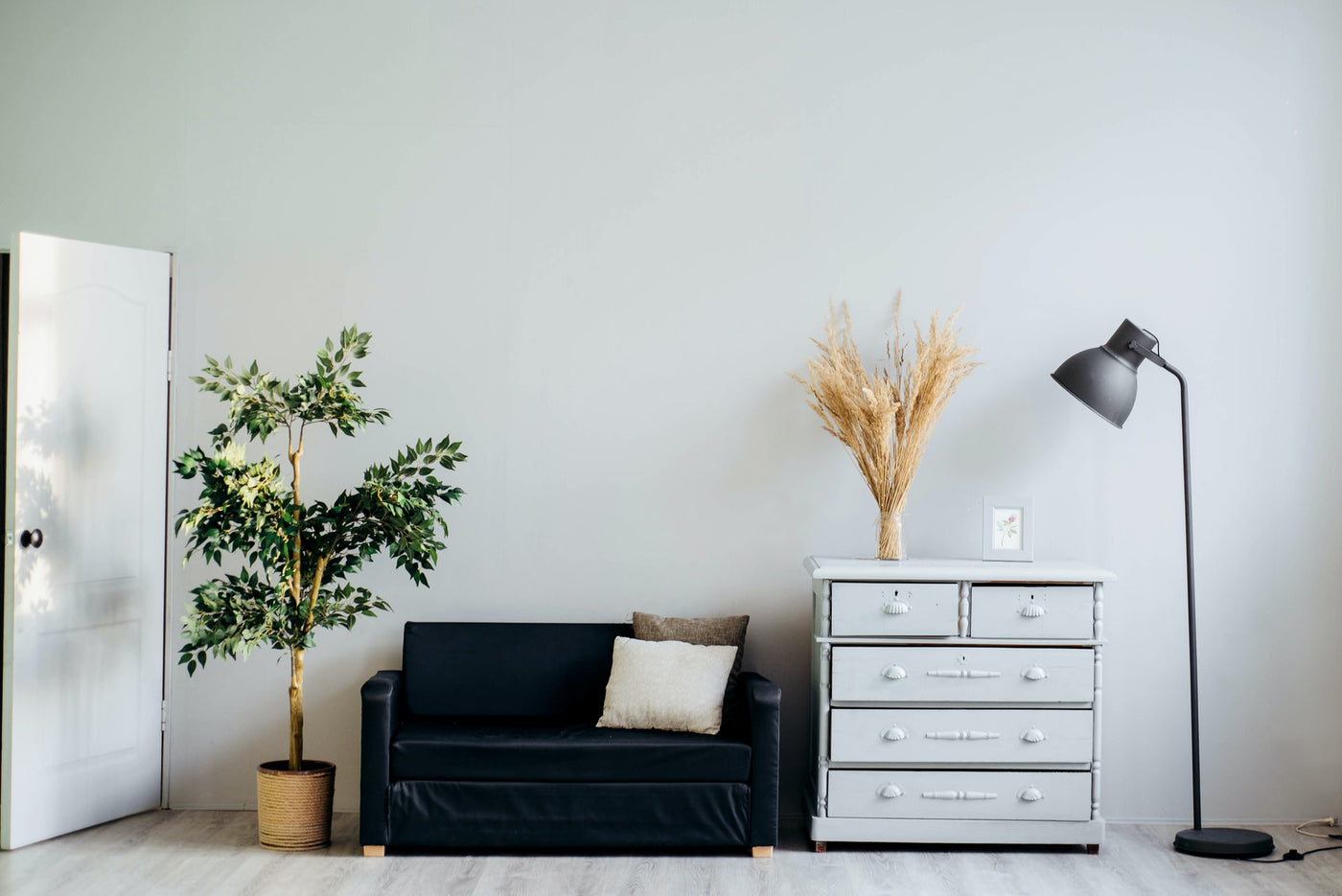 5 ways to spring clean your plants