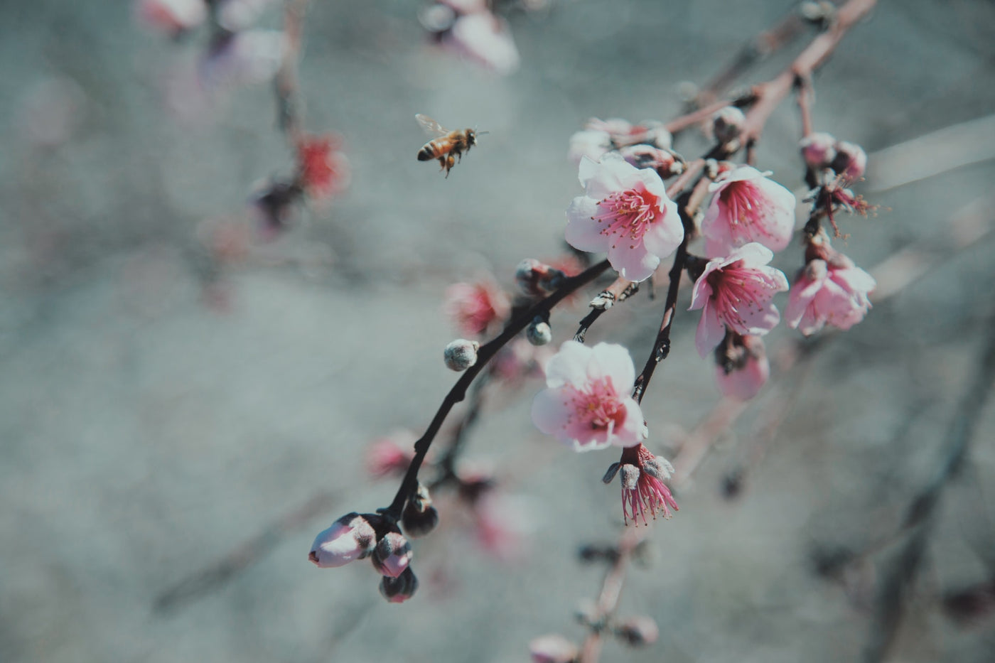 5 ways to look after wildlife in your garden