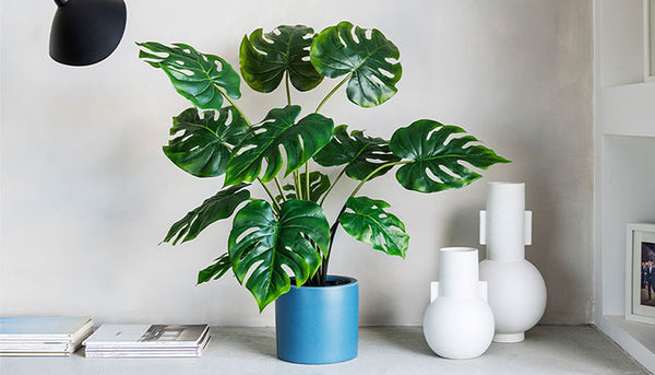 Large Artificial Plants