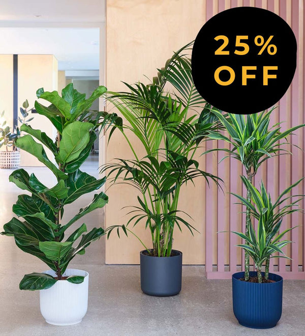 Bundle and Save