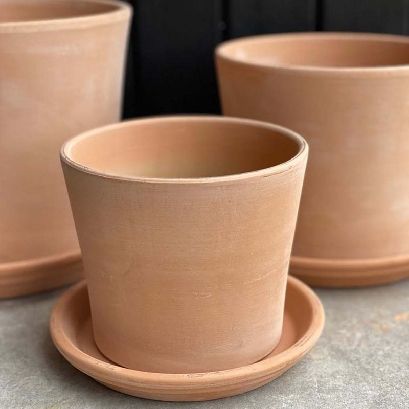 Contemporary Terracotta Pot with Saucer (16cm)