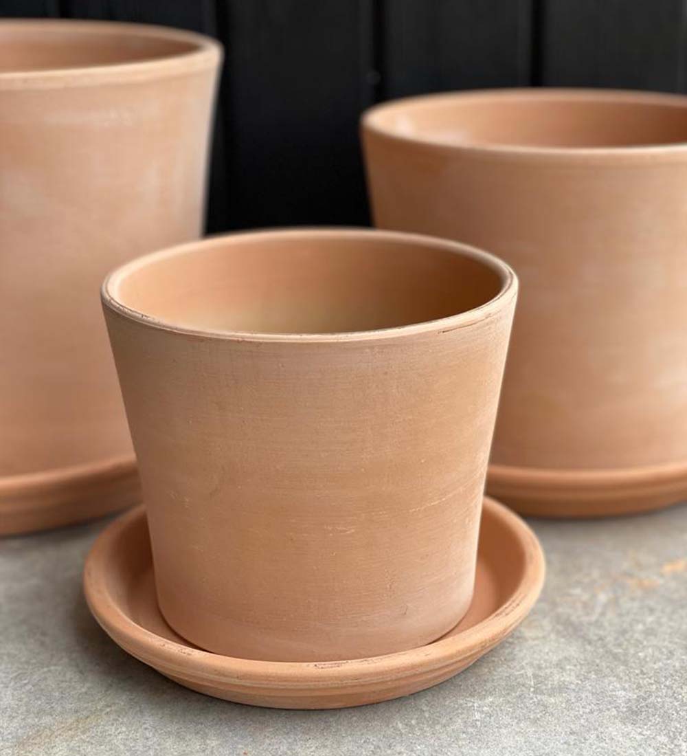 Contemporary Terracotta Pot with Saucer (16cm)