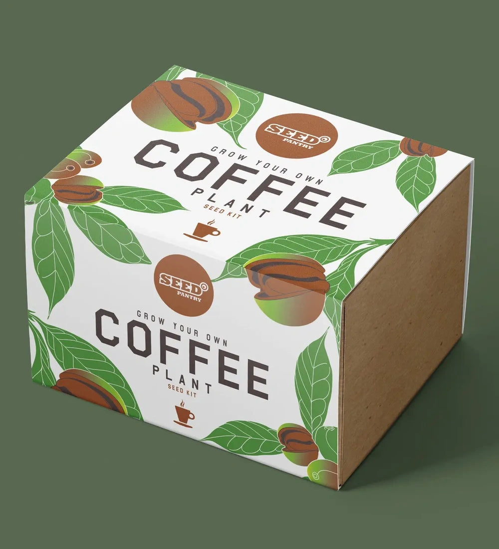 Coffee Bean Plant Seed Kit