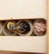 DIY Bee Hotel Kit