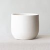 Broadway Chalk 14cm