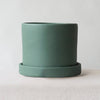 Sea Spray Dalston Pot