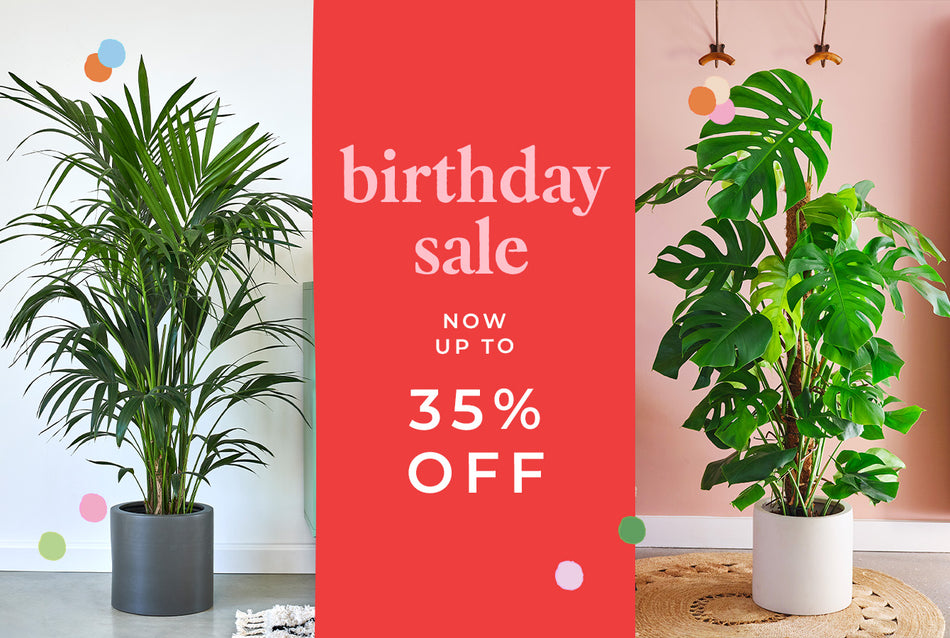 35% off